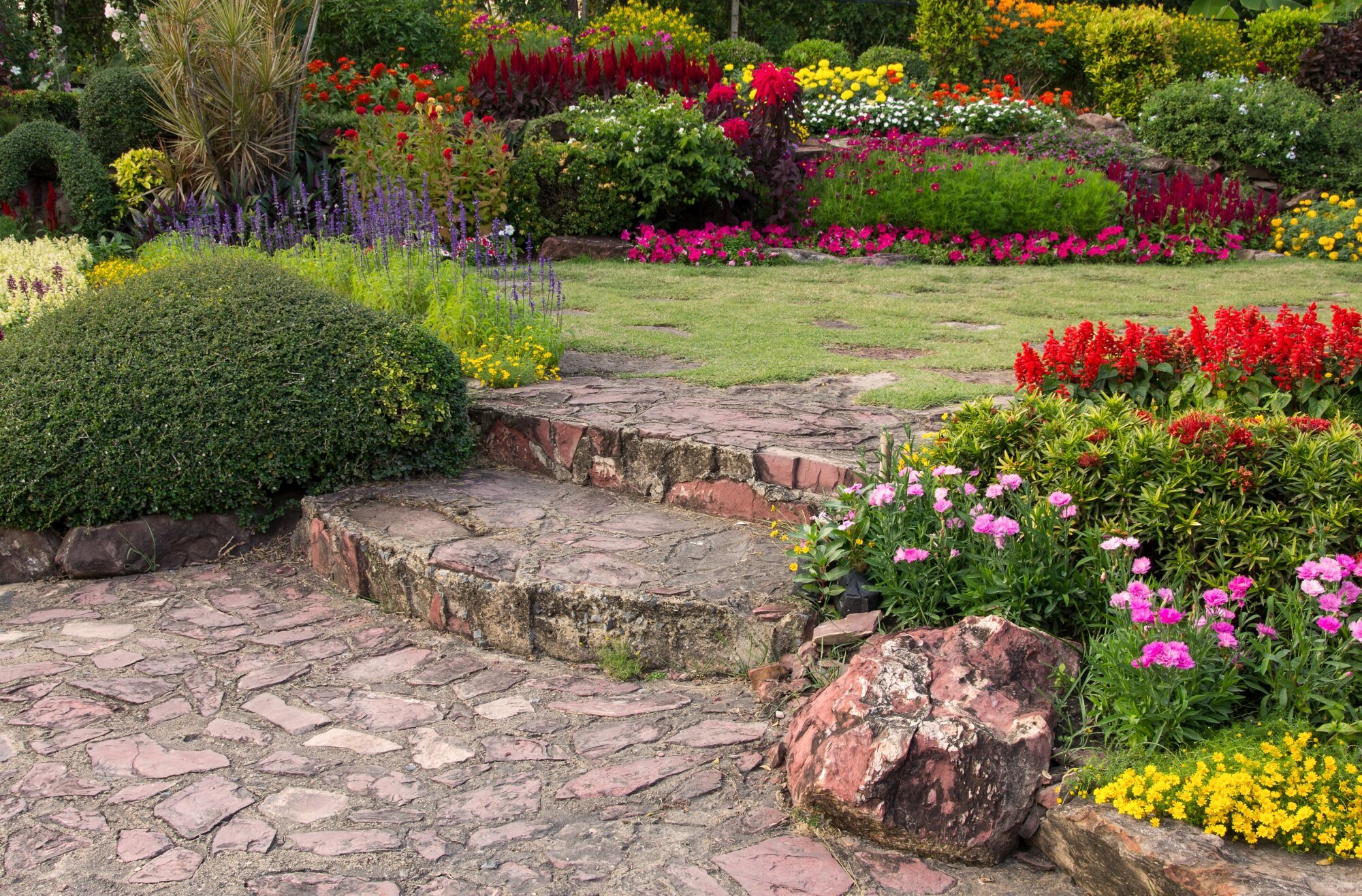 Professional Landscaping Services Brisbane