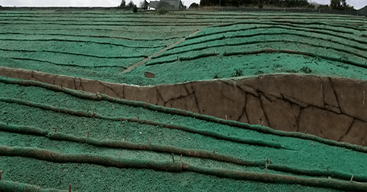Hydroseeding Queensland